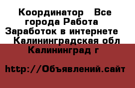 ONLINE Координатор - Все города Работа » Заработок в интернете   . Калининградская обл.,Калининград г.